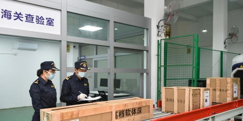 国内首个跨境大件商品集货仓落地佛山